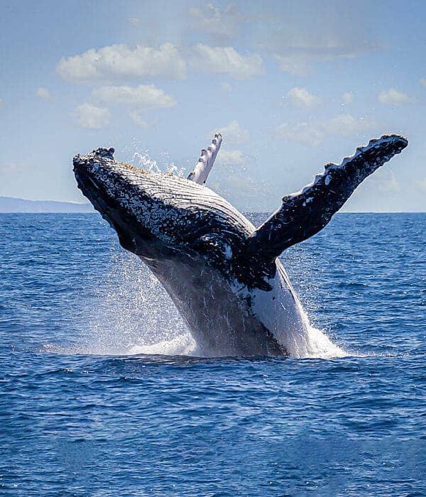 Salt Spring Island Wildlife Cruise · 3-Star Comfort Class